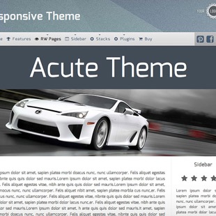 rapidweaver_theme_acute.jpg