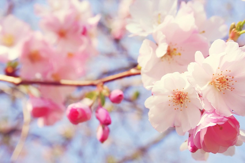background_image_5